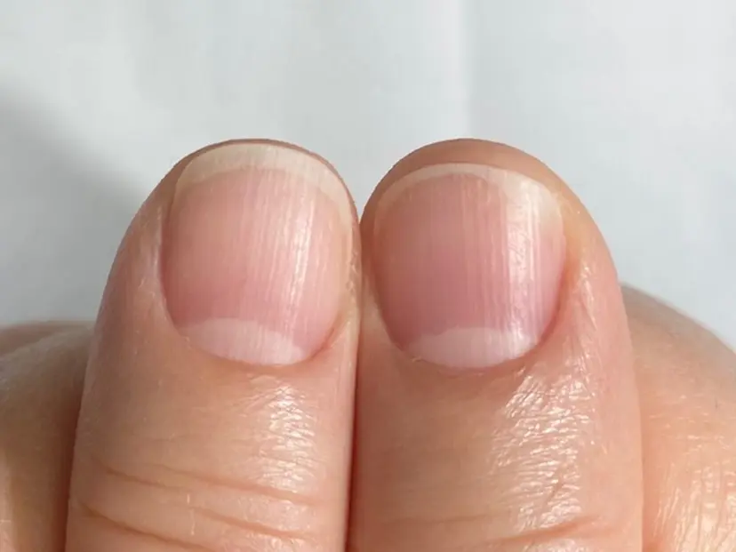 千葉 明美の掲載