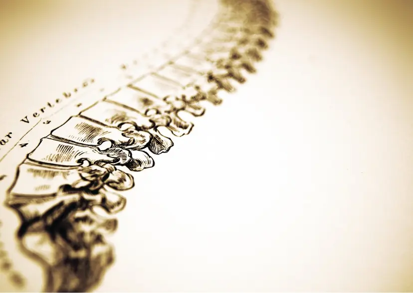 髙橋 綾乃の掲載