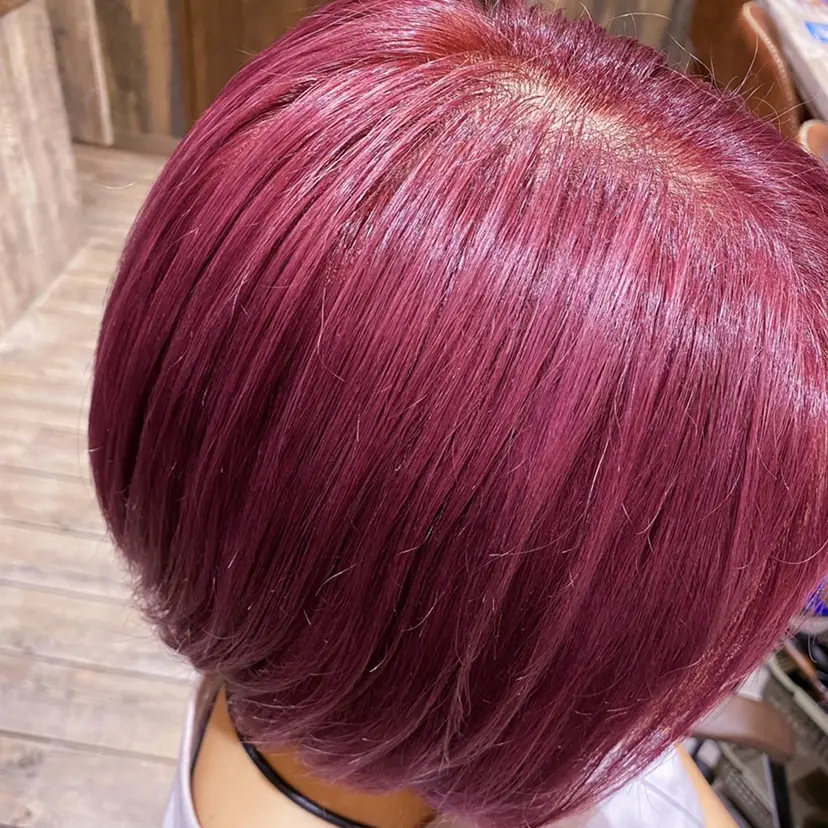 船田 雅也の掲載