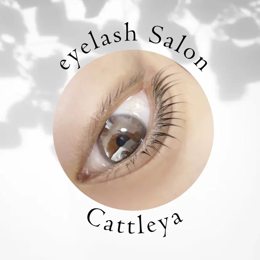 morisaki ＊の掲載