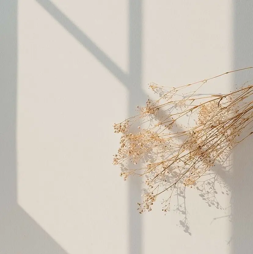 matsui miyabiの掲載