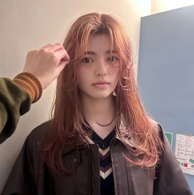 hase ／tsunaguの掲載