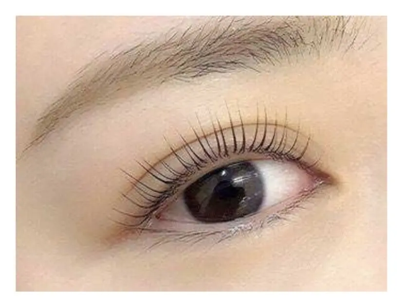 マリーテレジア🫧 Azumaの掲載