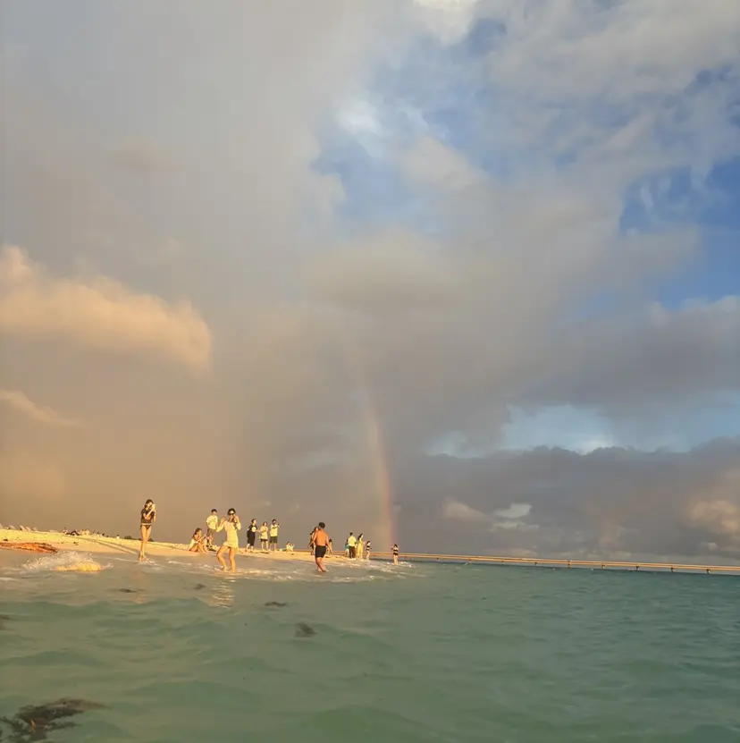 レイヤー/ボブ /メンズ🪩KAYOの掲載