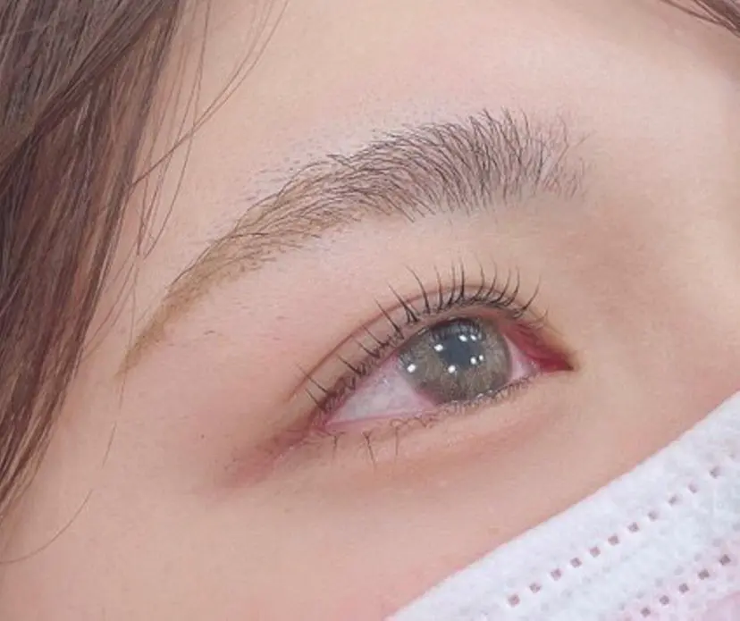 植木 はるひの掲載