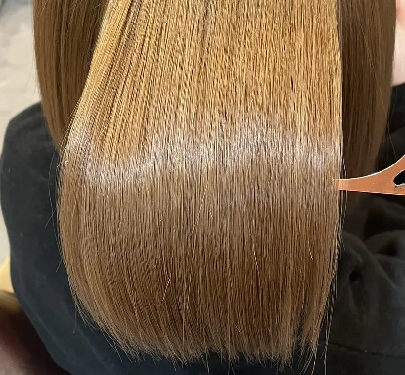 田口 聖夏の掲載