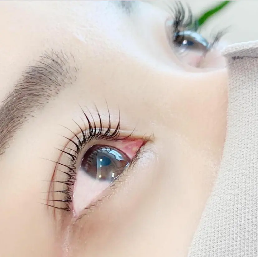 🤍 yui 🤍の掲載