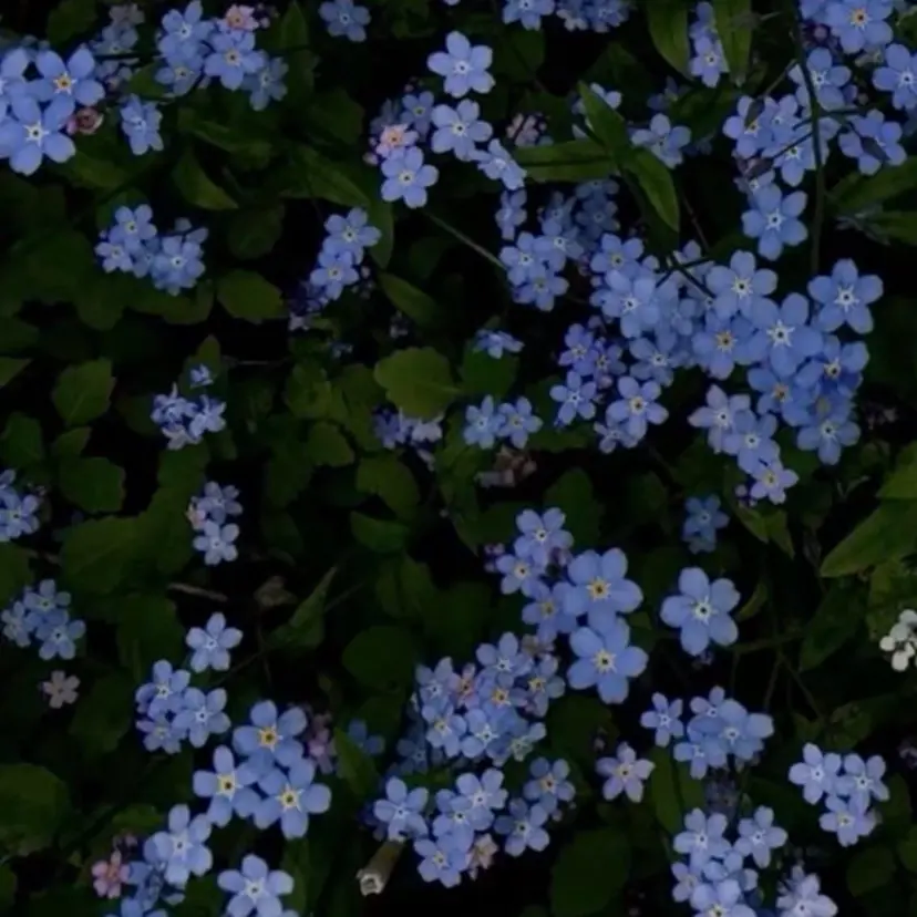 yur西梅田 Hinaの掲載