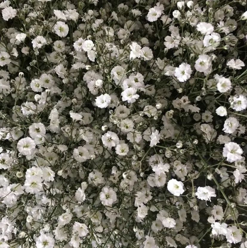 ItoMayuki/ 髪質改善/艶カラーの掲載