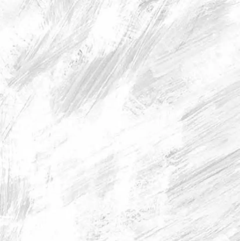 𝑅𝐸𝐼𝑁𝐴 𓍯の掲載