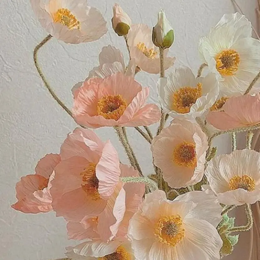 小白井 由美の掲載