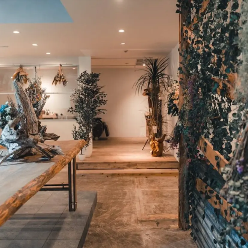 渡部 日和の掲載