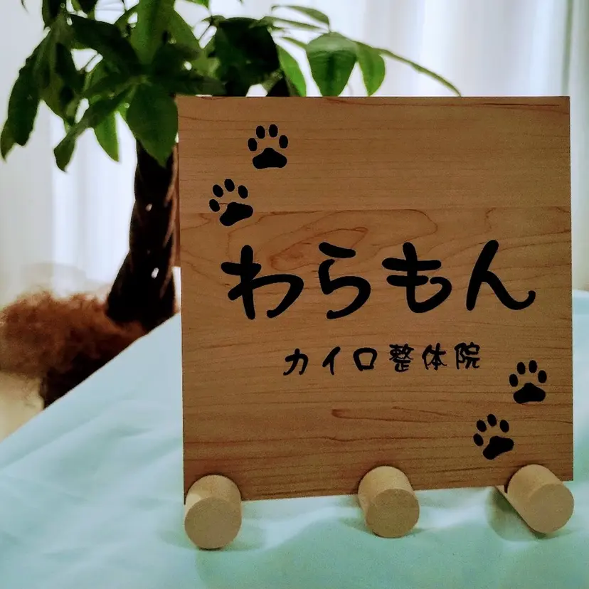 菅野 大樹の掲載