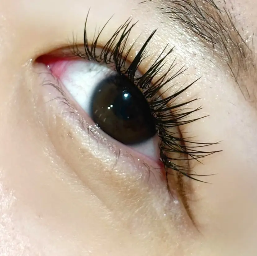 LEDマツエク/ アイブロウ/石原の掲載