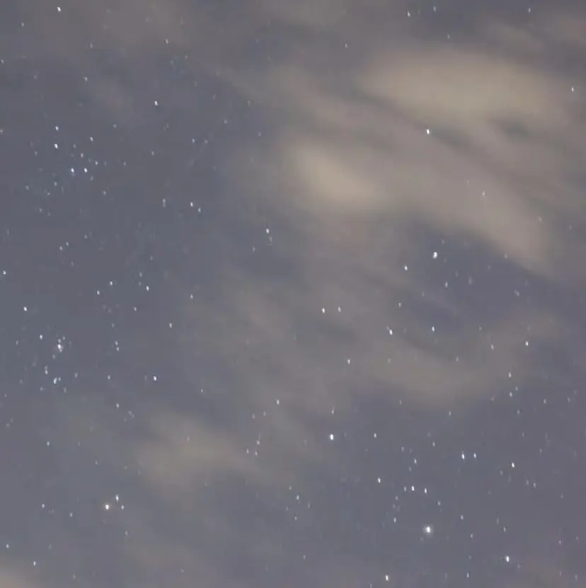 今里 心花の掲載