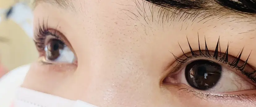 青木 理恵の掲載