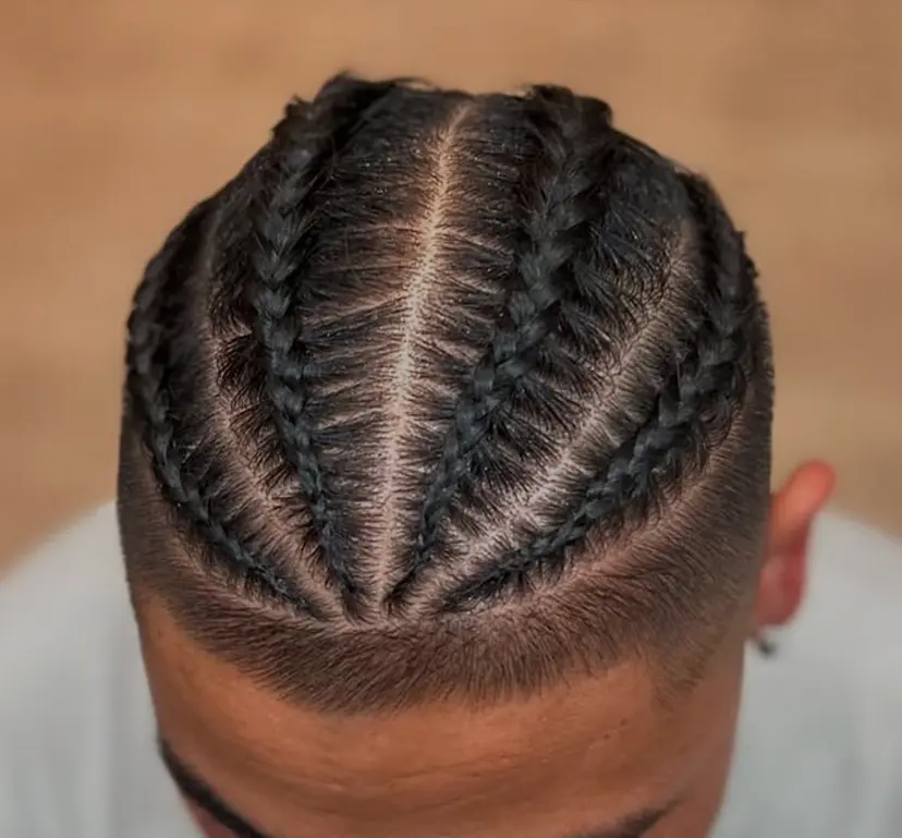 sibelles セイロの掲載