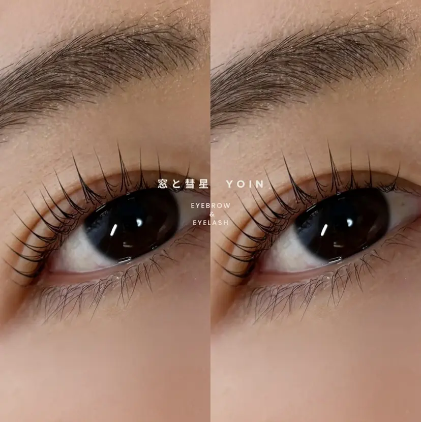 窓と彗星 yoin  Fukaの掲載