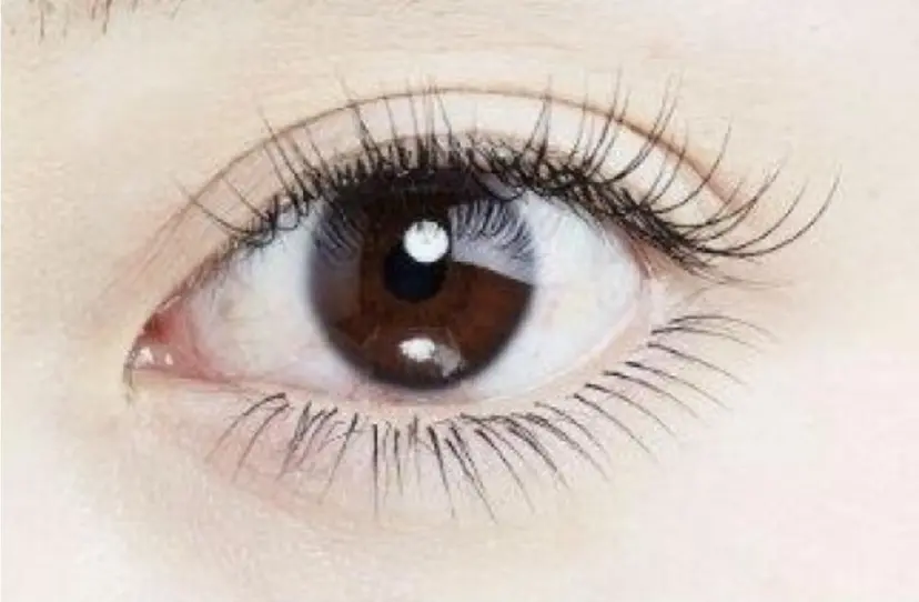 ドーリーラッシュ西村 華奈の掲載