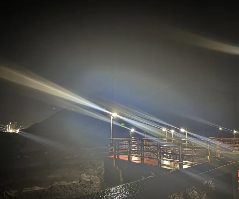 菊地 悠汰の掲載