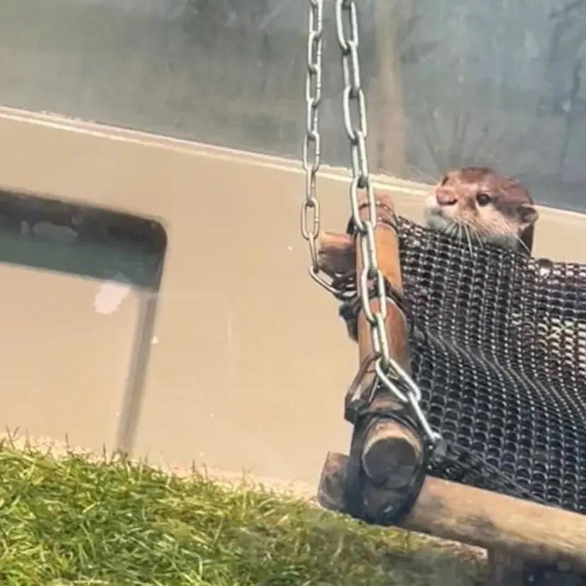 ハイトーン/寒色系 カラー/Risa🌿の掲載