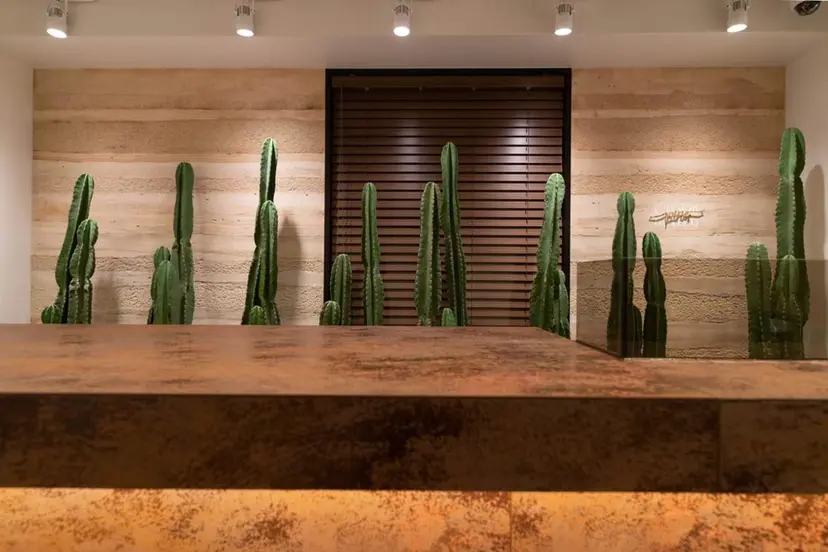 暖色/ブリーチ/メン ズパーマ/ﾐﾜﾁｶｺの掲載