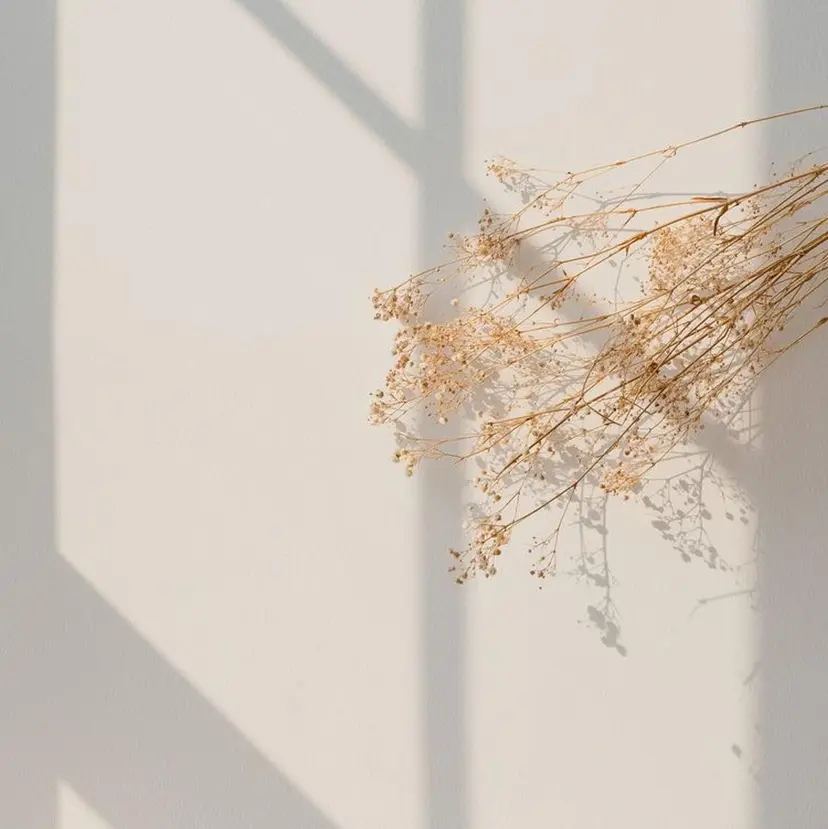 Carat鵜沼店 ひろしまの掲載