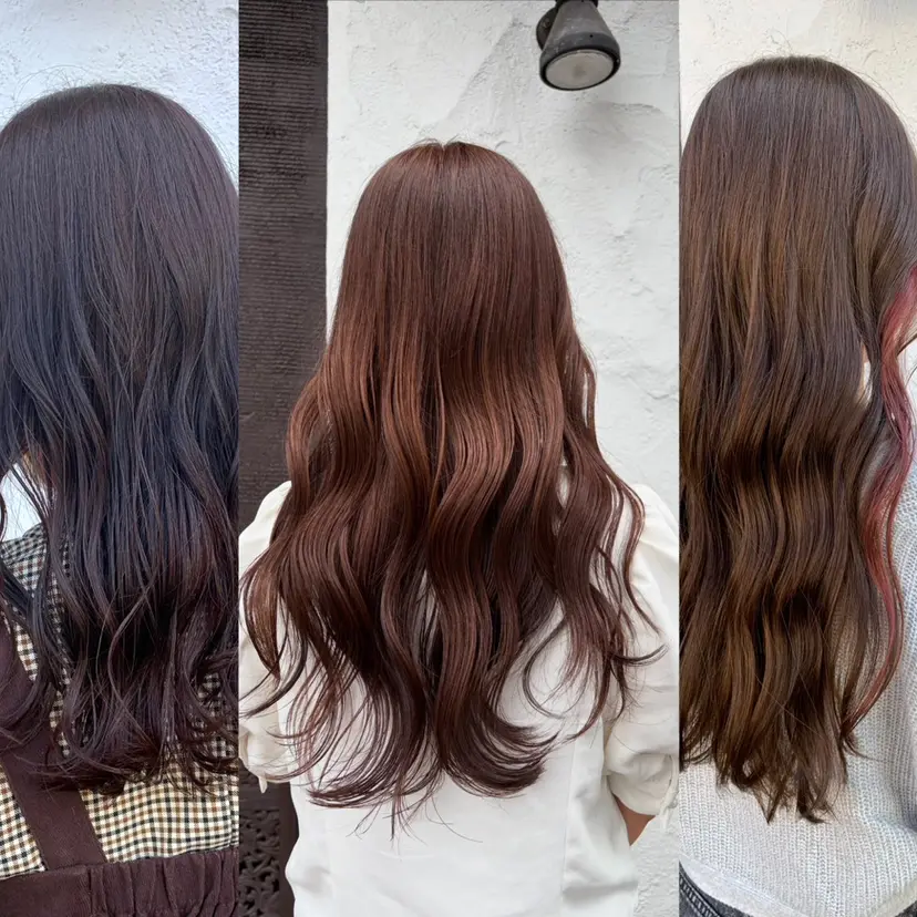 大同 洋樹の掲載