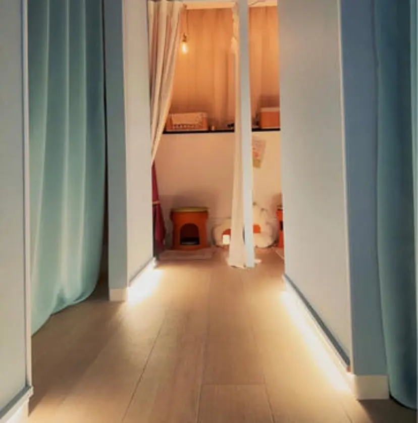 小枝 京子の掲載