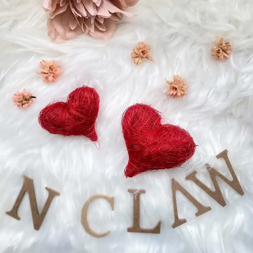 N._._. clawの掲載