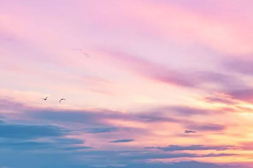 新井 菜摘の掲載