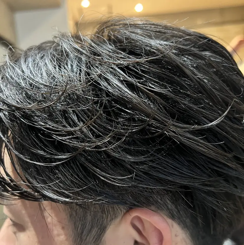 糟谷 慈英の掲載