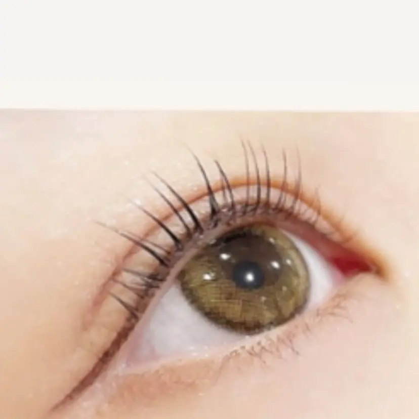 ドーリーラッシュ 林の掲載