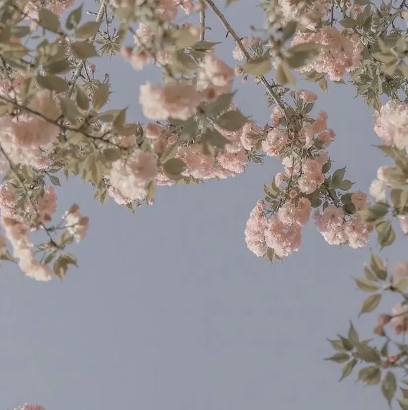 🎀髪質改善 🎀井上華の掲載