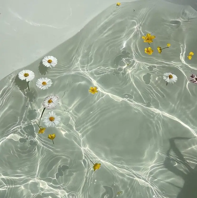 韓国肌/ピーリング POLA꒱AIの掲載