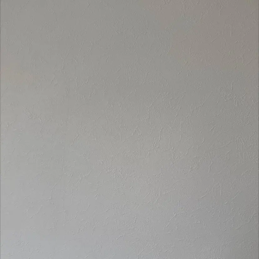 渡邉 歩香の掲載