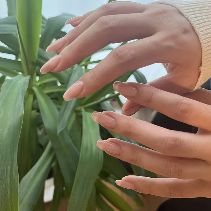 ステラマリス yamauchiの掲載