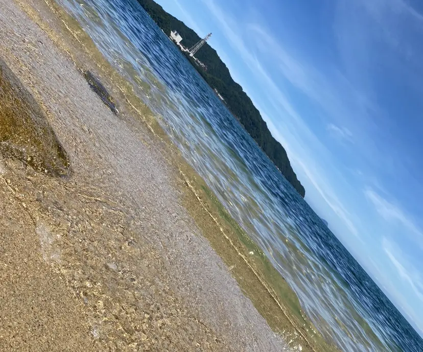 Nail salon Eclatの掲載