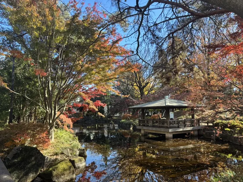 BASSA上石神井 /福田 一士の掲載