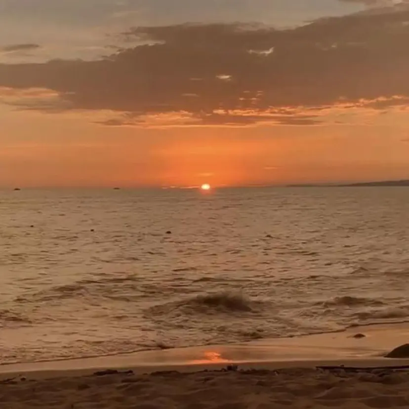 eyelist 🫧usuiの掲載