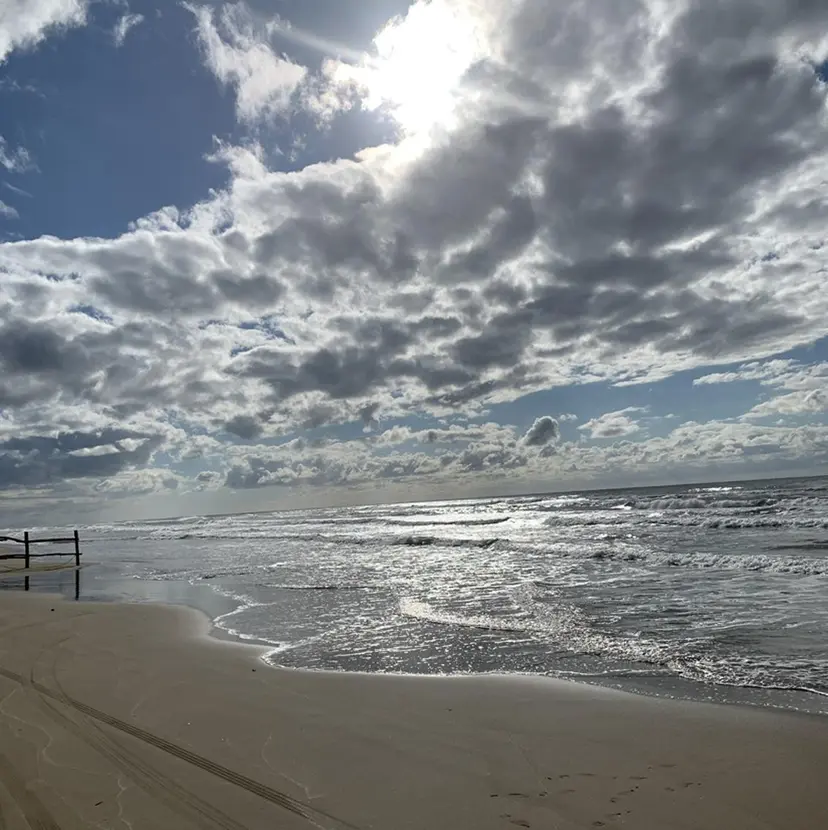 尾曲 晃直の掲載