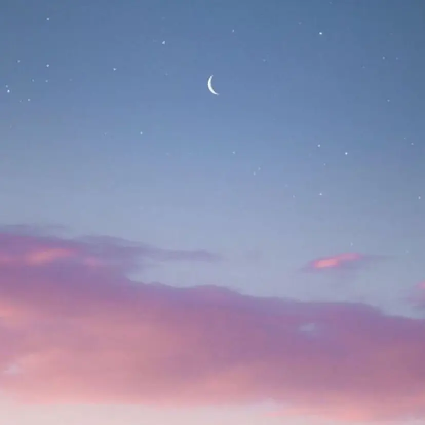 モデル募集🤍 mionの掲載