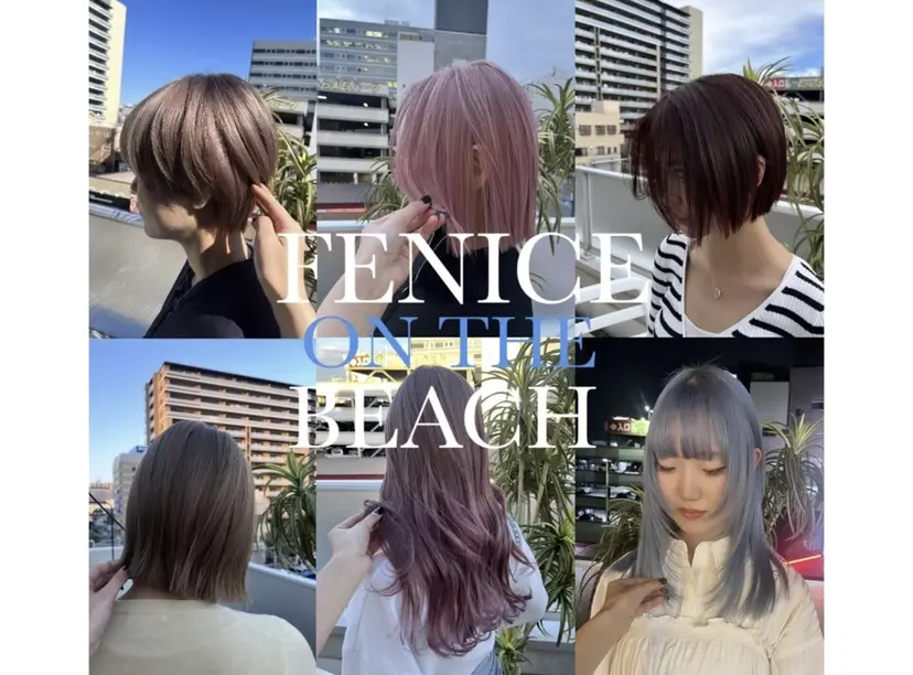 fenice natsumiの掲載