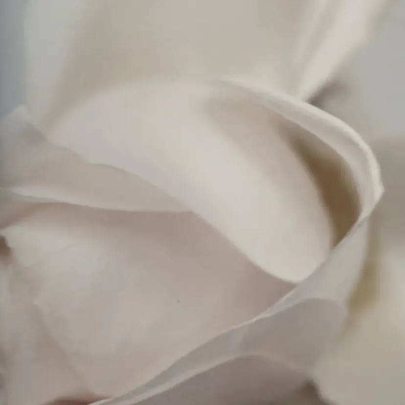 𝘩𝘸𝘢 東中野の掲載