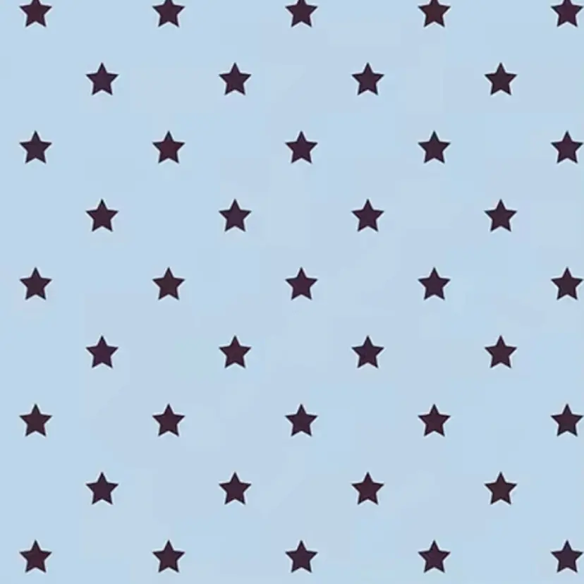 ★モデル募集 星来★の掲載