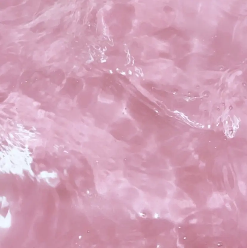 渡邉 由香の掲載