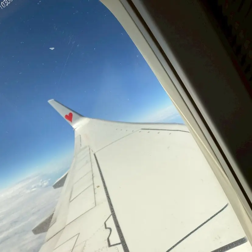 アイ リストの掲載