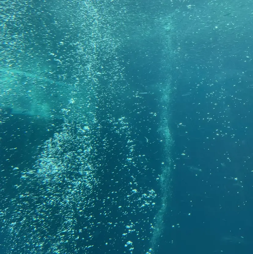 あかぎ あやの掲載