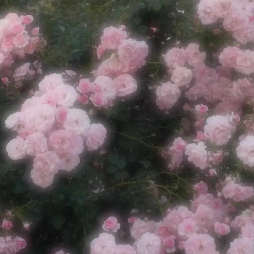 ゆうめ 透明感カラー /韓国風レイヤーの掲載