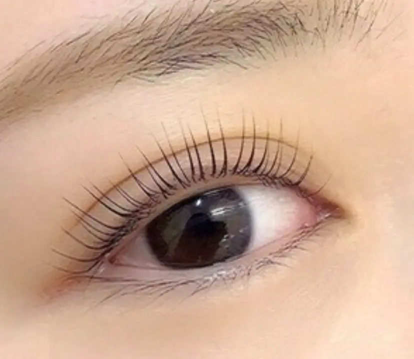 マリーテレジア たかはしの掲載